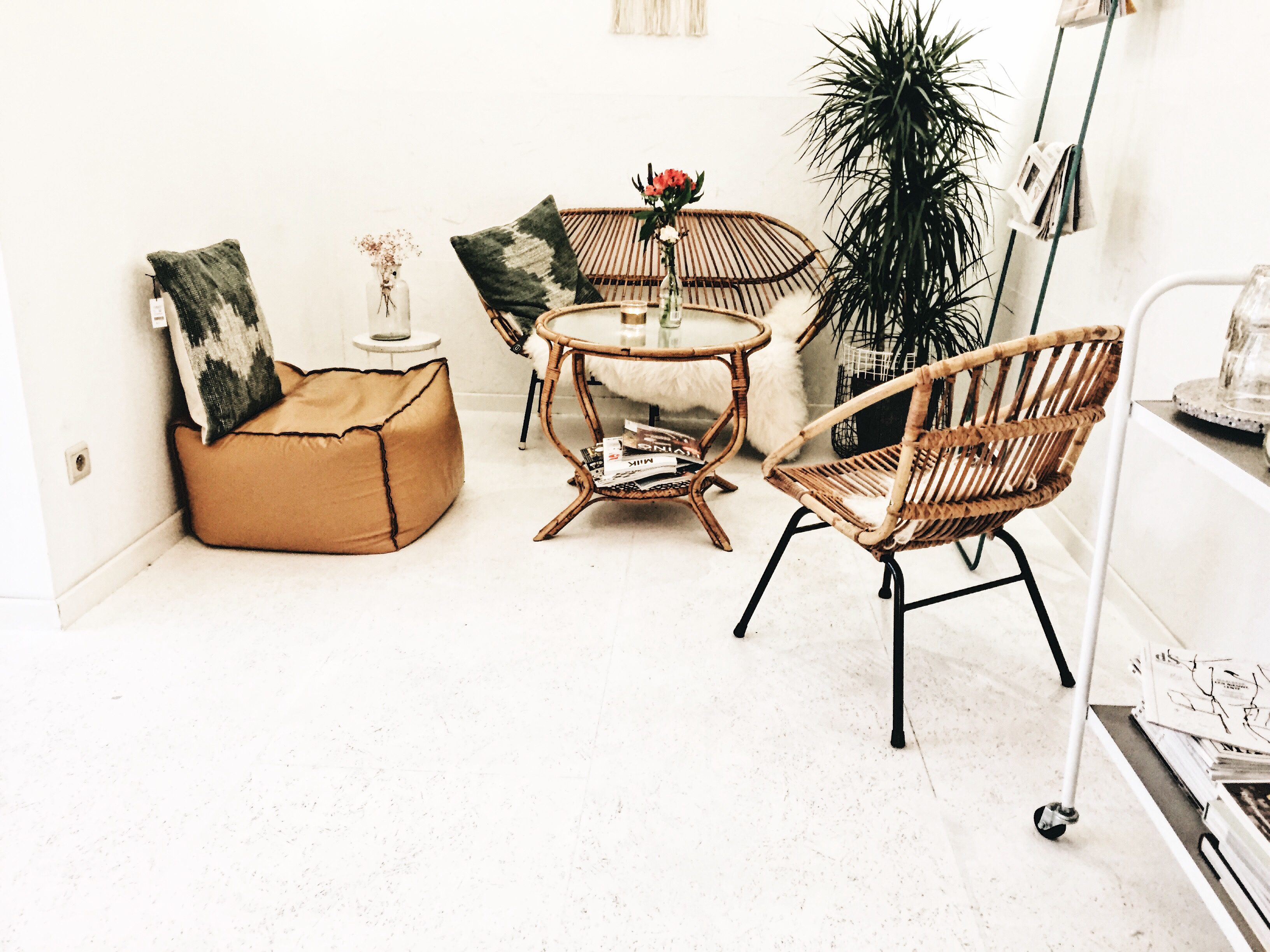 Little Louvain Thelma Coffee & Design