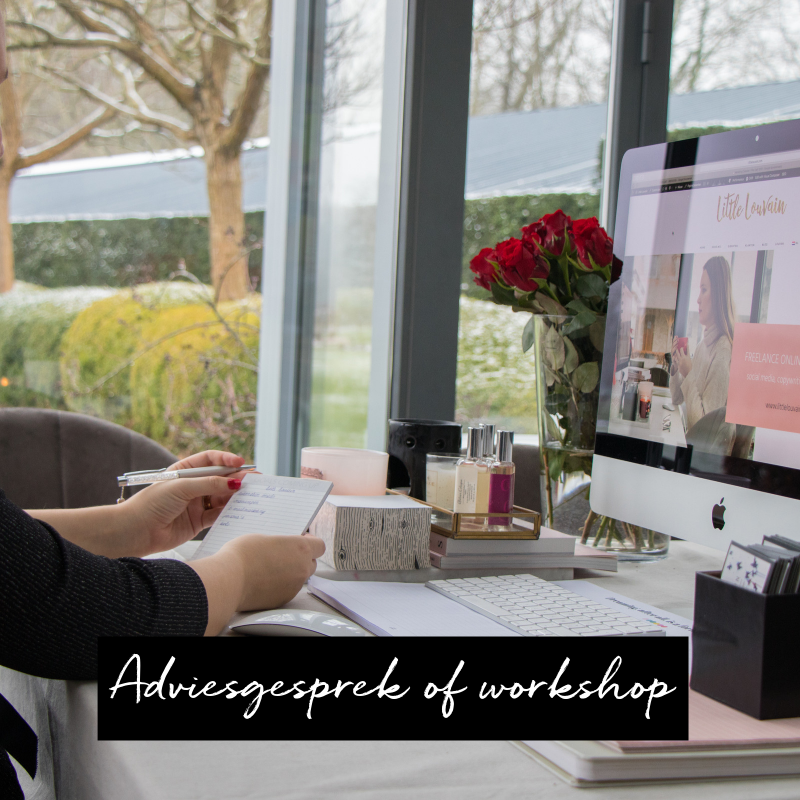 Adviesgesprek of workshop (1)