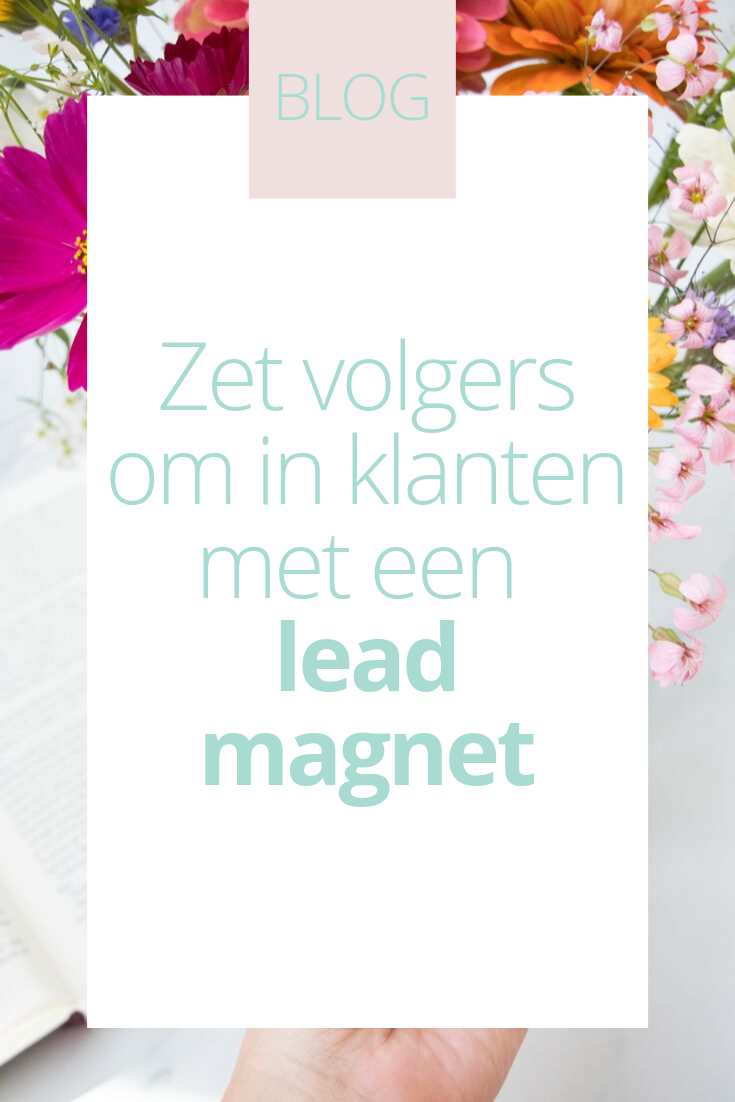 BLOG_ zet volgers om in klanten met een lead magnet