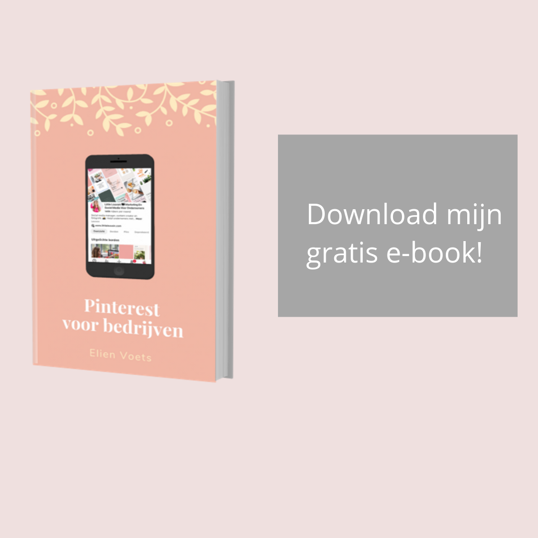 Download mijn gratis Pinterest e-book lead magnet