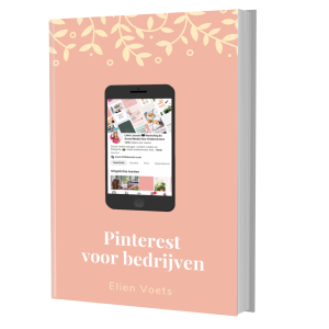 E-book Pinterest voor bedrijven