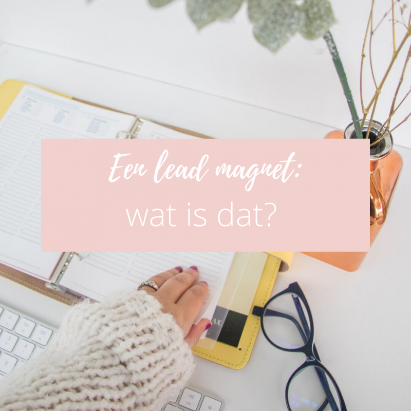 Een mailinglijst opbouwen: zet volgers om in klanten via een goede lead magnet