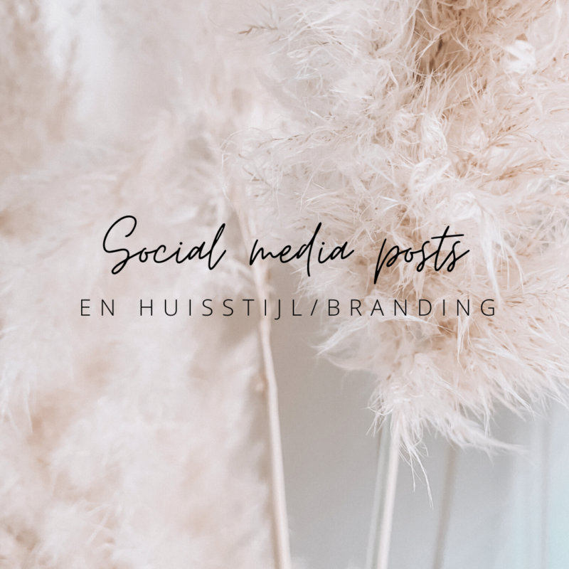 Social media posts maken in de huisstijl van je bedrijf