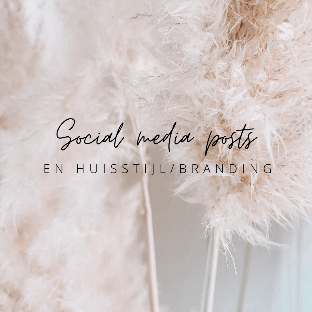 Social media posts maken in de huisstijl van je bedrijf